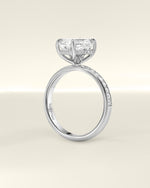 TR4026PTWD07 (1).jpg__PID:37170e1f-e932-42b2-9e6f-dfe1702bee80